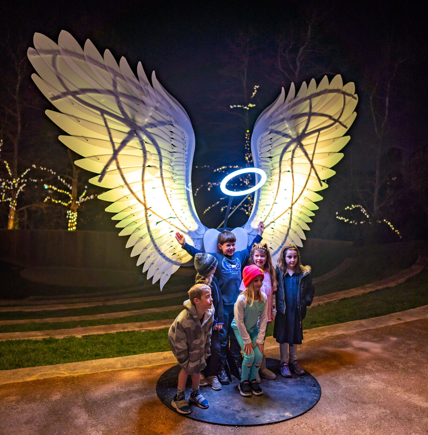 Napa Lighted Art Festival 2020